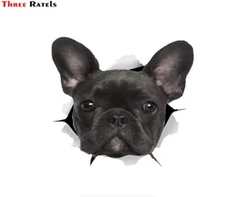 Üç Ratel FTC1068 3D Siyah Fransız Bulldog Sticker Köpek Araba Çıkartma Duvar Araba Tuvalet Odası Bagaj Kaykay Laptop7097307