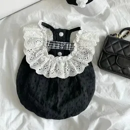 Moda primavera outono verão elegante roupas para cães gato filhote de cachorro preto vestido de renda para cão pequeno princesa pet saia york bichon traje 240305