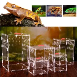 Terrarien, Eidechse, Schildkröte, Acryl-Aufzuchtbox, transparente Reptilienbox, Haustier-Aufzuchtbox, Rutin-Hühner-Aufbewahrungsbox aus Bio-Glas