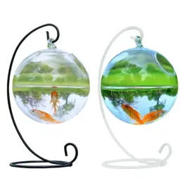 Tanks Creative transparent spherical fish tank small desktop glass fish tank round hanging glass aquarium fish tank home decoration