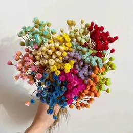 Dekoratif çiçekler gerçek kurutulmuş doğal mini brezilya zevk dalı minyatür kuru mutlu çiçek buket ev için 30 cm/yaklaşık 0,3 cm kafa