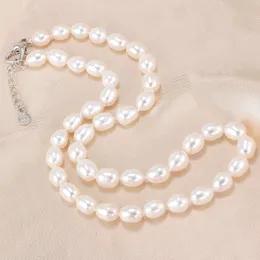 HENGSHENG AAA 7-8mm Natural Freshwater Pearl Necklace Women Jewelry Necklace 925 Silver White Pink Purple Real Pearl Jewelry 240305