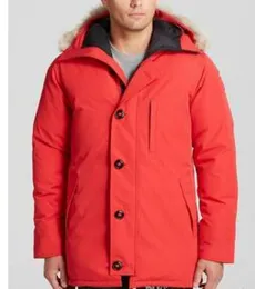 Kanada chateaus varumärke mens veste homme utomhus vinter jassen ytterkläder stor päls huva fyrrure manteau down jacka coat hiver park2535098