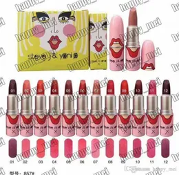 ePacket New Makeup Lips NOM857 Губная помада Матовая помада 12 разных цветов6657030