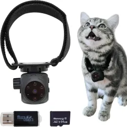 Trackers Pet Collar Camera ingen WiFi krävs dold mini nanny kamera med ljud/video SD -kort infraröd nattvision katt krage kamera