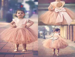 Pageant Dresses for Girls Sleeves 2017 Blush Pink Satin Top Tulle Tuulle Bow Bow Broad Length Flower Flower Girls for Weddings En48765610