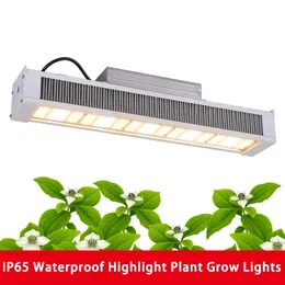 Szklarnia pełne spektrum kolb lampy upraw 320 640W 301B LED LIKA