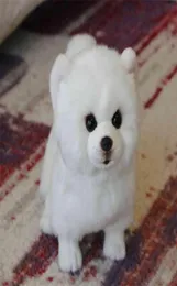 Pomeranian Plush Toy Dog Doll Simulation محشو حيوان سوبر واقعية للحيوانات الأليفة كاواي هدايا عيد ميلاد للأطفال 2107288896452