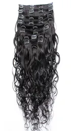 Clipe molhado e ondulado extensões de cabelo humano indiano barato cabeça cheia clipe em extensões de cabelo onda de água 10pcsset 120gset 1055998