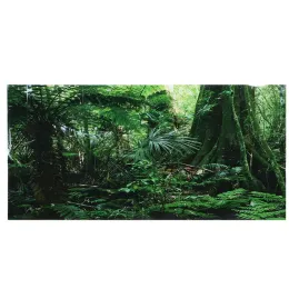 Decorações pvc dupla face fundo do aquário cartaz decoração da parede do tanque de peixes lanscaping floresta tropical terrário decorações do tanque de peixes