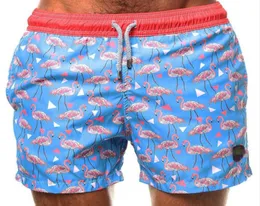Sommar simningstammar för män flamingo pojke simning shorts män blå badkläder strand manlig baddräkt m2xl6285073