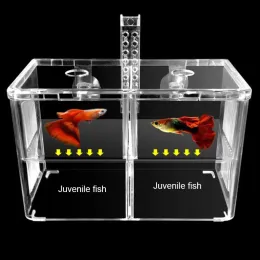 Akwaria akcesoria akrylowe akrylowe ryby izolacja pudełko na izolację akwarium akwarium hodowca podwójne gupiki wykluć inkubator