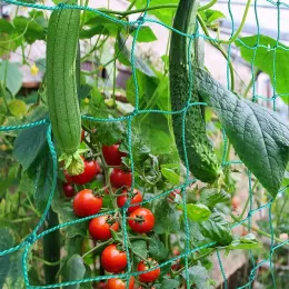 Netz, Kletterpflanzen-Stütznetz, Garten-Erbsenbohnennetz, PE-Gitternetz für Kletterpflanzen, Gemüse, Obst, süße Erbsenpflanzen