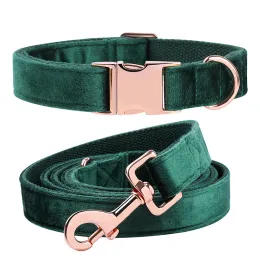 Collari Stile unico Collare per cani in velluto Collare per gatti Verde Set collare e guinzaglio regolabili