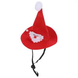 Costumi per gatti Cappello da cucciolo Cappello natalizio Costume da animale domestico di Natale Cappelli decorativi per cani Babbo Natale resistenti all'usura