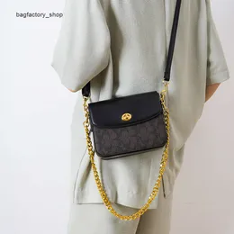 Begränsad fabriksavstånd är het säljare av ny designer handväskor Nytt mode tryckt Small Square Bag Chain French Crowd Design Single Shoulder Womens