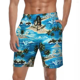 Men's Shorts Ilands Painting Art Board Summer Hawaii Beach Male Sports Fast Dry Pattern Swimming Trunks