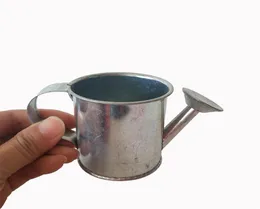 D55XH55CM Partiter Party Favors Mini Watering Cans Pure Tin Box Żelazne garnki Metalowe ozdobne ogród 1709691