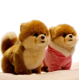 Kalite Gerçekçi Pet Hayvanlar Peluş Oyuncak Mini Pomeranian Malta Köpek Shiba Inu Bebek Çocuklar için Kız Hediye Dekorasyonu DY506593271773