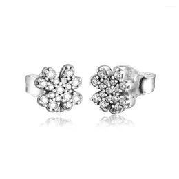 Stud Küpe Radyant Luck Dört yapraklı Yonca Küpe 925 Sterling-Silver-Jewelry