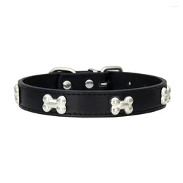 Hundehalsbänder liefert Alligator PU-Leder Knochen Haustier Halskette Zubehör Halsband für kleines mittelgroßes Geschirr