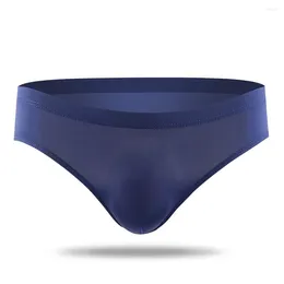 Underpants confortáveis homens roupa interior calcinha briefs alta estiramento L-3XL lingerie baixa ascensão nylon bolsa sexy sheer primavera diariamente