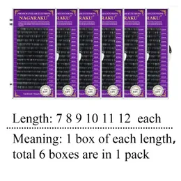 False Eyelashes 16 Rows 6 Boxes C D Curl Curved Soft Comfortable Eyelash Extensions Individual Artificial Fake