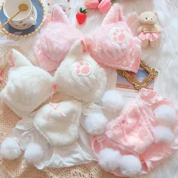 Bras Furry Underwear Plush Thermal Bra Set Japanese Girl Soft Sweet And Cute Cartoon Pure Cotton Without Wire Rings