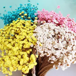 Fiori decorativi mazzo gypsophila bouquets colorato secco vero tocco di babysiflice ampio utilizzo del respiro per bambini eterni per feste