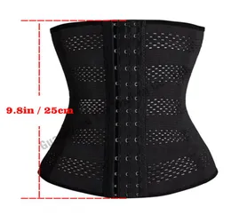 Wholewomens Training Training Trenerss Plus Size Waist Trener Kobiety Sching Body Shapewear Biełdak gorset Minceur Spor4342686