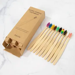 Novo 2024 10 PCs Bambu Charcoal Toothbrush Bristles macio dentes de dentes de dentes ecologicamente