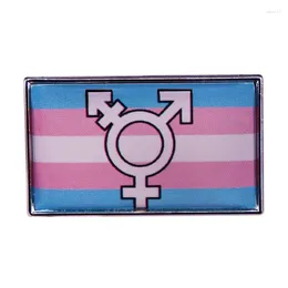 Broches Gay Lésbica Transgênero Símbolo Bandeira dos Direitos Humanos Distintivo