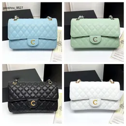 chanelpurses borsa chanells clies chanellies Borsa a tracolla da donna Borse a tracolla firmate Borsa Woc Borsa a canale Borsa a tracolla con patta moda donna Pelle di alta qualità