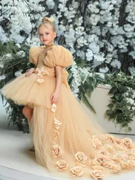 Abiti da ragazza di fiore champagne Tulle Petali gonfi e fiori di rosa 3D con coda per abiti da principessa per banchetti di compleanno di nozze 240312