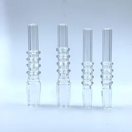 Quartz Nail Tips 10mm 14mm 18mm Joint Male Quartz Nail vs Titanium Nail Ceramic Tips för Dab Rig Bong