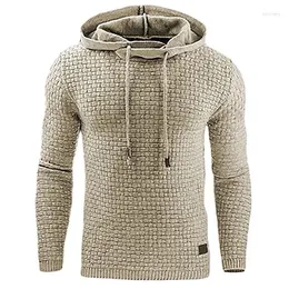 Felpe con cappuccio da uomo 2024 Uomo Marca Uomo Plaid Felpa con cappuccio Mens Felpa con cappuccio Tuta Cappotto di sudore Abbigliamento sportivo casual M-4XL Goccia