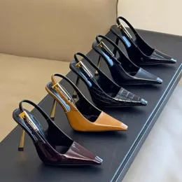 Pumps spitzte Frauen High Heels 2024 Frühlings- und Herbst Neue königliche Schwesterstil sexy dünne Absatzschuhe Bankett flache Mundschuhe