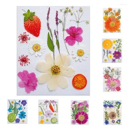 Fiori decorativi secchi per resina, frutti naturali, cassa del telefono pressata, riempimento epossidico, ciondolo, creazione di gioielli, decorazioni per unghie