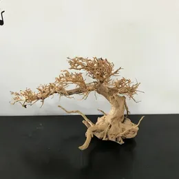 100% Handcraft Aquarium Bonsai Driftwood Moss Tree Bonsai Driftwood Aquarium Tree Wood Ornament Naturliga grenar 240401