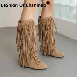 Botas Leshion of Chanmeb Retro Fringe Kneehighs Boots Women Women Faux Suede Tassel Nude Wined Red Pink Boots Long Woman Woman Women Winter Shoes