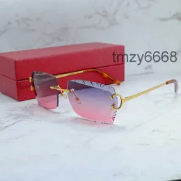 Okulary przeciwsłoneczne okulary przeciwsłoneczne Mężczyźni i kobiety stylowy drut c luksusowy projektant Carter Sun okulary napędowe odcienie na zewnątrz ochrona okularów Square Glass 62cl