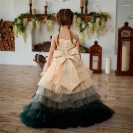 Abiti da ragazza Principessa carina Abito a fiori gonfi Applqiues Tulle Pografia Po Shoot Bambino Bambini Ragazze Spettacolo Party Personalizzato