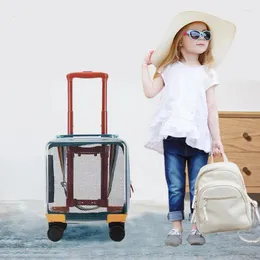 Malas de bagagem transparente das crianças 14 polegadas caixa de trole pequena rede leve celebridade cardan roda mala