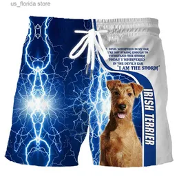 Men's Shorts Mens Swimwear Shorts Pet Dog 3d Surfing Board Short Kid Beach Shorts Men Trunks Masculina Swimsuit Sports Pants Briefs boy Y240320