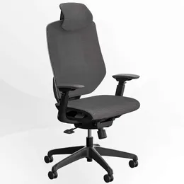 FLEXISPOT High Back Desk Swivel Computer Chair with Adjustable Seat Depth and 3D Armrest - Gray