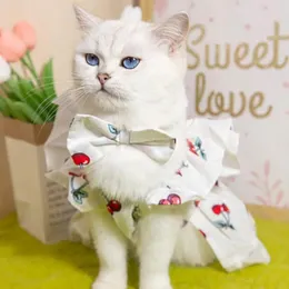 개 의류 편안한 애완 동물 의류 세트 레이스 악센트 드레스 세련된 체리 프린트 소매 헤드 기어 고양이를위한 헤드 기어