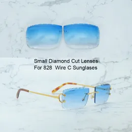 Lentes pequenas de corte de diamante para carter 828 fio c óculos de sol lente apenas óculos de sol lente cor somente peça de reposição 2 furos