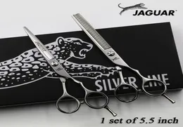 Hår sax 5quot55quot6quot65quot professionell frisör sax set cuttthinning barber sax hög quali4424386