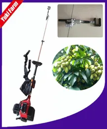 Gasoline olive harvest machine olive harvester shaker olive picking machine fruit tree harvesting machine orchard fruit tree shake2707139