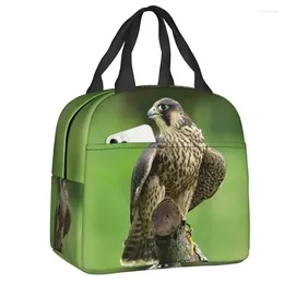 Aufbewahrungstaschen, lustiger Peregrine Falcon Vogel, isolierte Lunchtasche für Picknick im Freien, wiederverwendbar, Kühler, Thermo-Bento-Box, Damen und Kinder